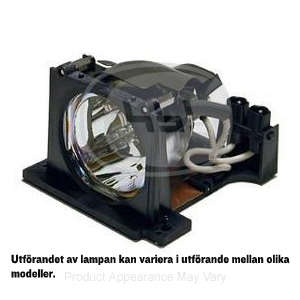 Tillbehör Sanyo Z1X/Z3 lampa