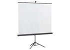 Kingpin Tripod Screen