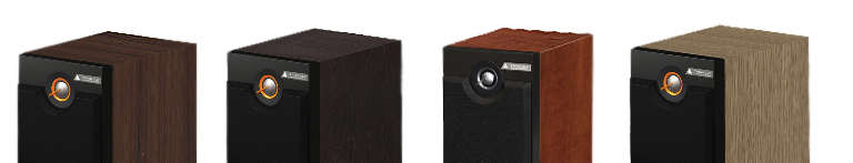 Högtalare Triangle PG09 TEB17