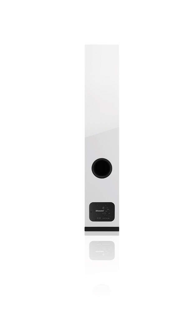 Högtalare Dynaudio Xeo 5 + Sändare Demo