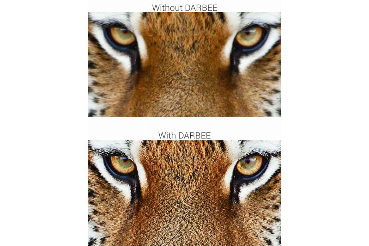 Projektorer Optoma HD28DSE