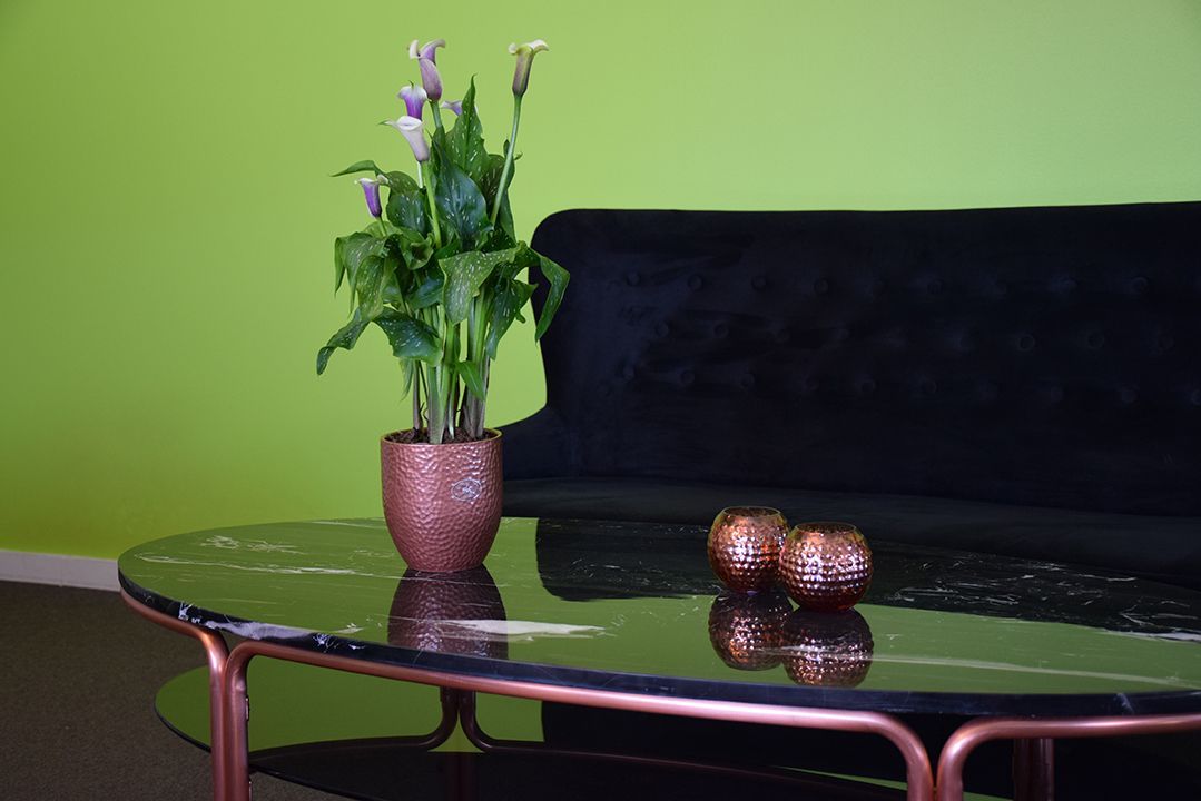 Möbler RGE Iris Soffbord Ellips med hylla