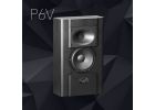 Procella Audio P6V
