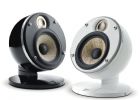Focal Dome Flax 1.0