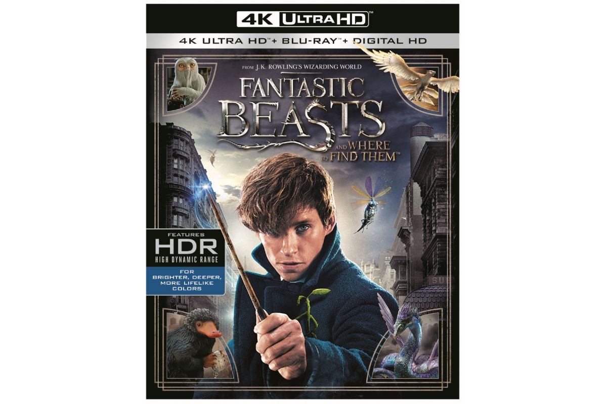 Media Blu-Ray Fantastiska Vidunder 4K Ultra HD (2016)