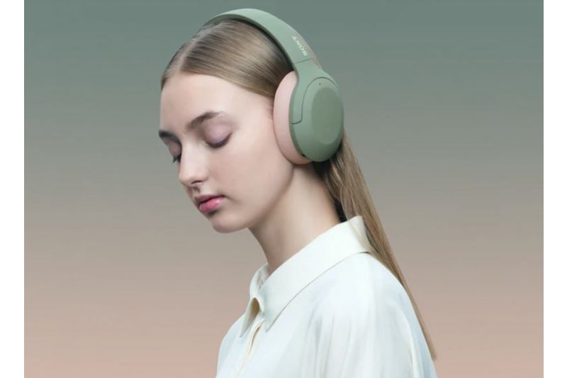 Hörlurar Sony WH-H910N
