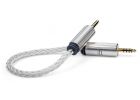 iFi Audio Pentaconn 4.4 mm - 4.4 mm Demo