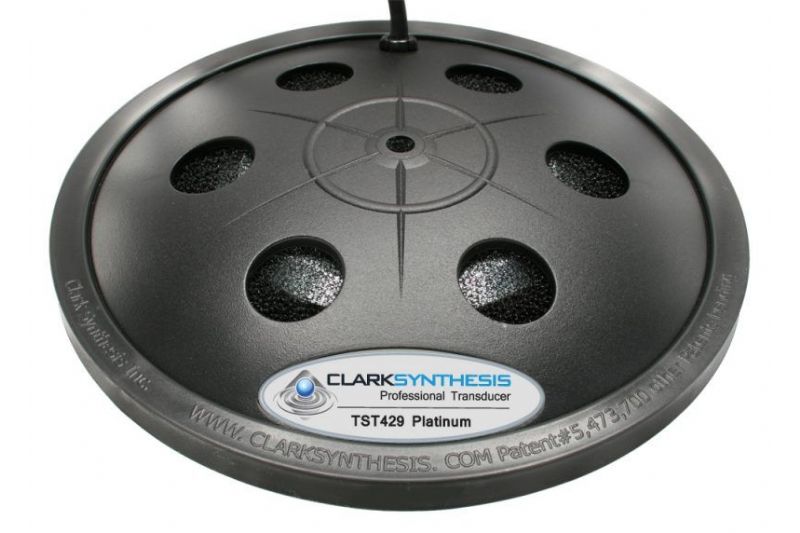 Subwoofers Clark Synthesis TST429 Platinum