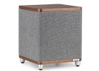 Ruark Audio RS1 Subwoofer