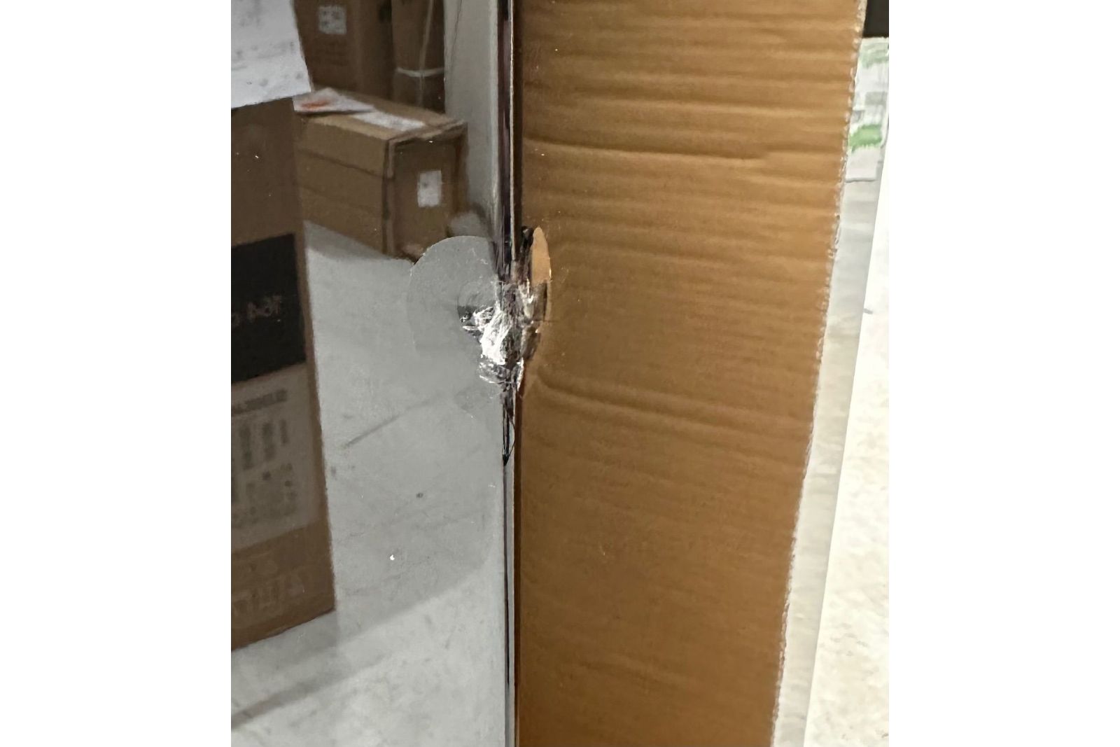 Högtalare SVS Prime Pinnacle Demo skada se bilder