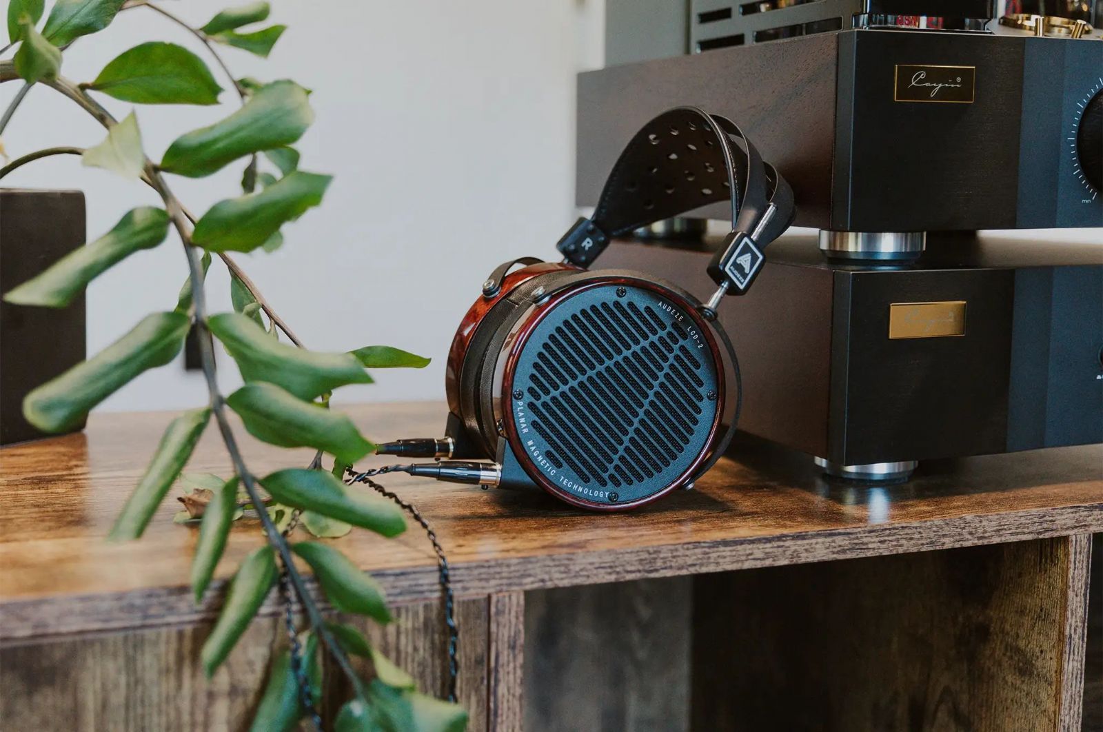 Hörlurar Audeze Headphones LCD-2 Padauk