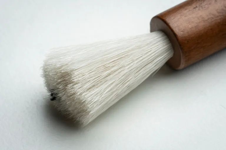 Vinyl Pro-Ject Audio Broom it