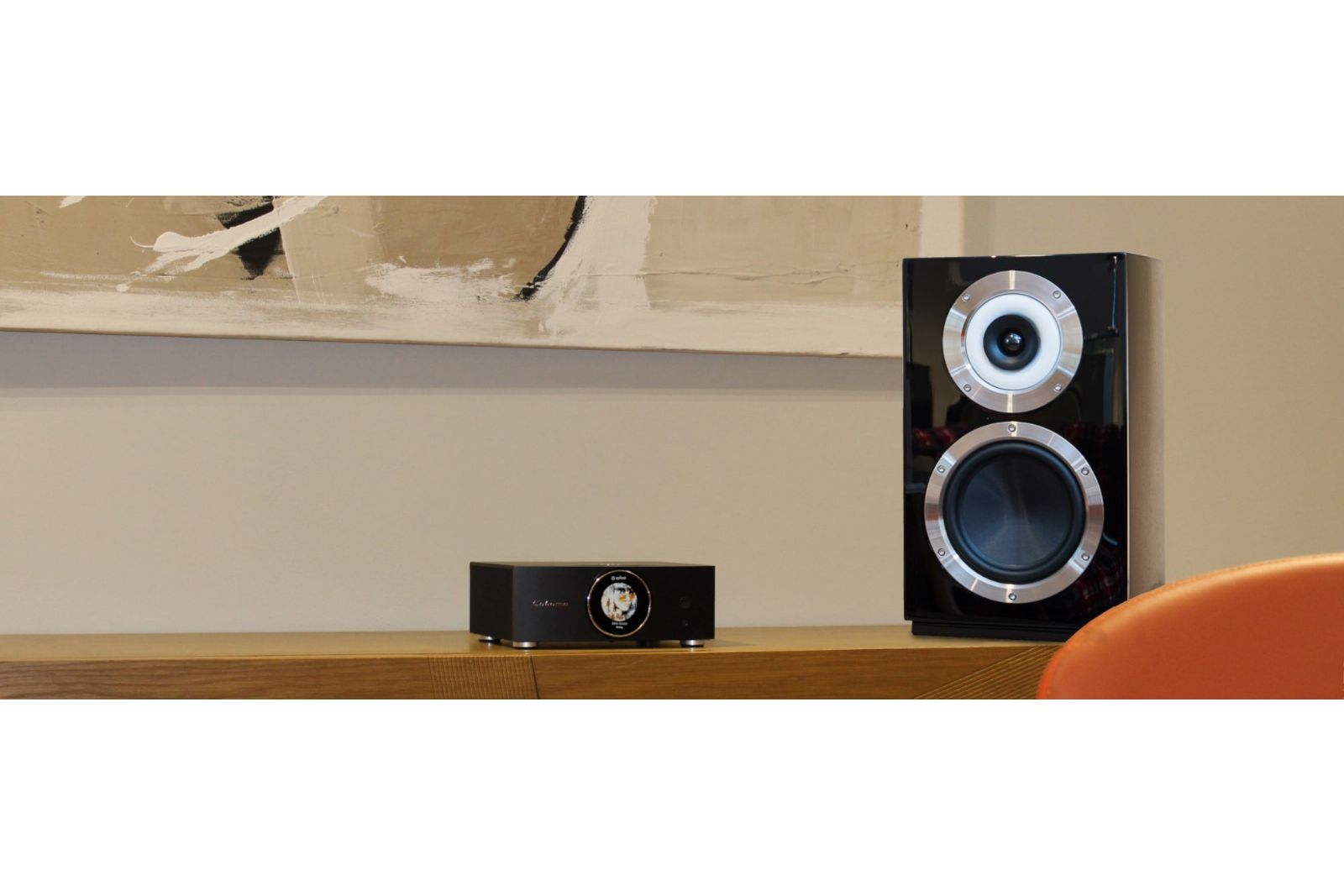 Förstärkare Cabasse Abyss AMP 240 S