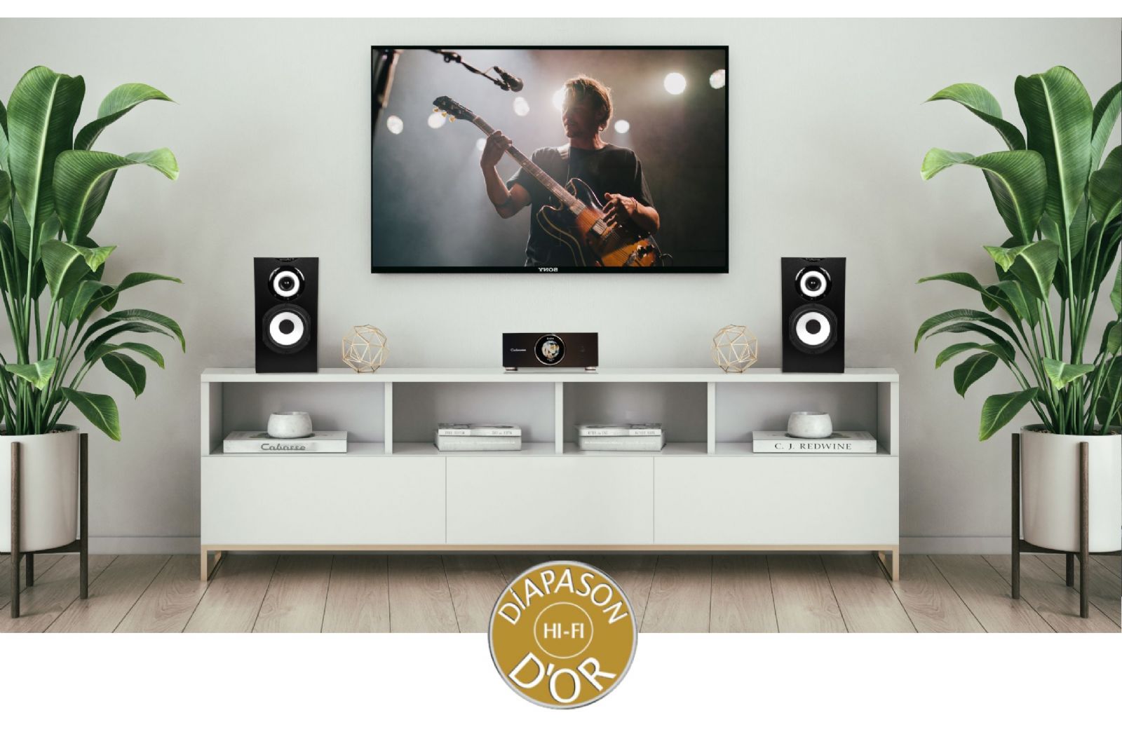 Förstärkare Cabasse Abyss AMP 240 S