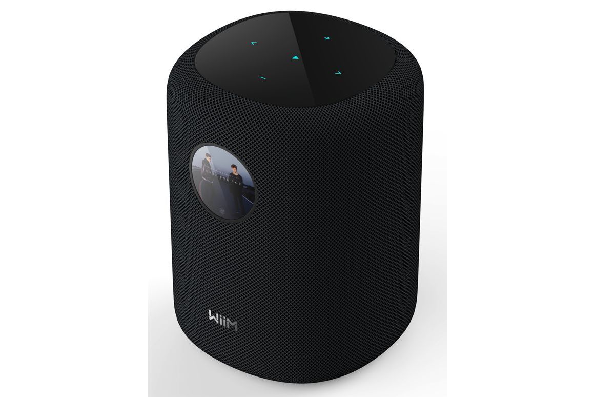 Högtalare WiiM Sound