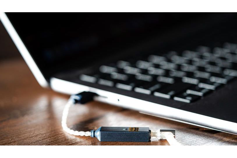 Hörlurar iFi Audio GO Link 2
