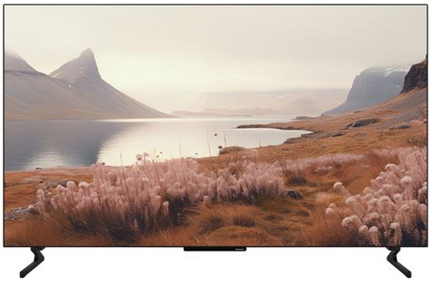 TV-apparater Panasonic TB-55Z60AEG 4K HDR 4K OLED-TV