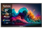 Sylvox Deck Pro QLED 2.0 55-tums utomhus TV