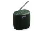 Pure Audio Woodland Mini
