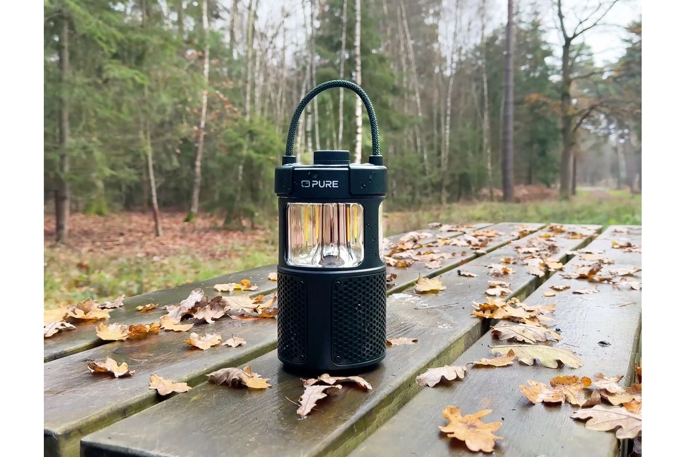 Bluetooth högtalare Pure Audio Woodland Glow