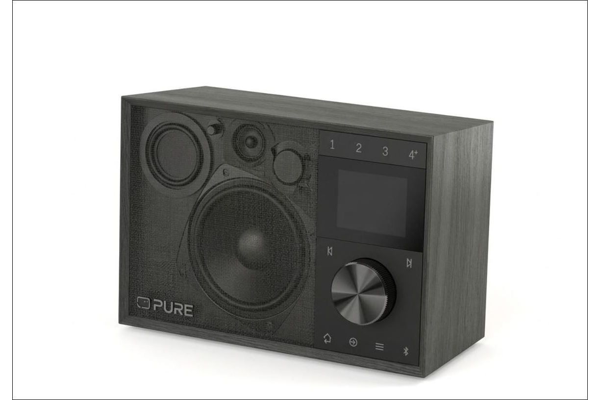 Bluetooth högtalare Pure Acoustics Evoke One
