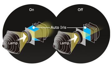 Auto Iris 